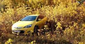 Осенняя сказка c Opel